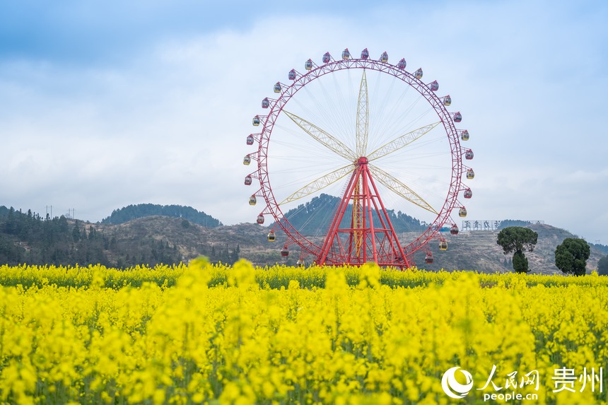 �Ͳ˻����cĦ��݆������W Ϳ���z