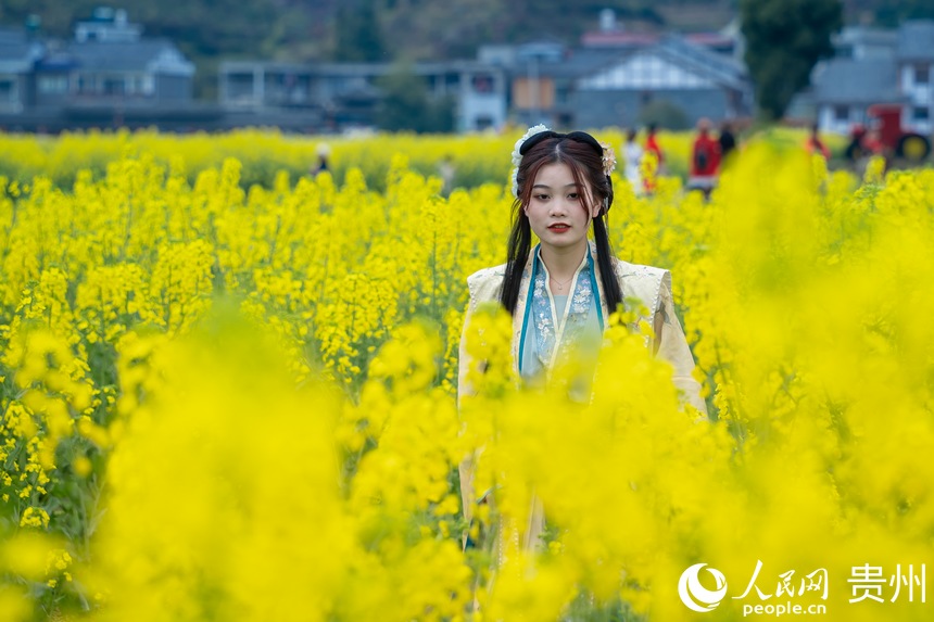 �����h���Ĺ����ڻ������Ĕz������W Ϳ���z