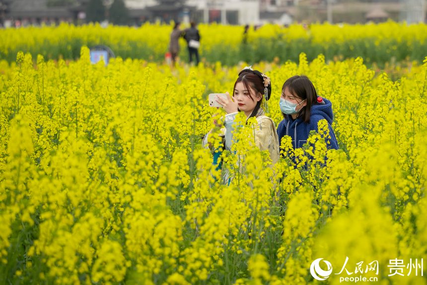 �����h���Ĺ����ڻ������Ĕz������W Ϳ���z