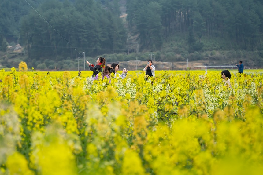 Ľ���������ο��ڻ������p����̤��������W Ϳ���z