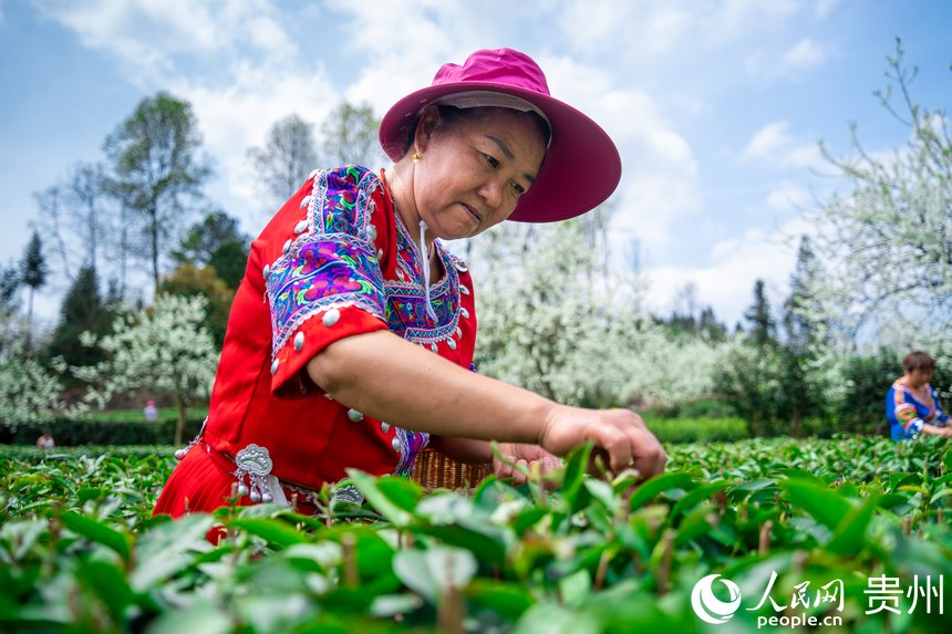 ����������ɫ��Ĳ��r�ڲ�@�ɲ衣����W Ϳ���z