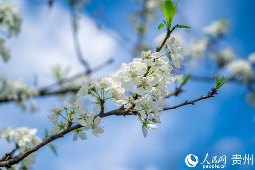 ��@��ʢ�_���������W Ϳ���z