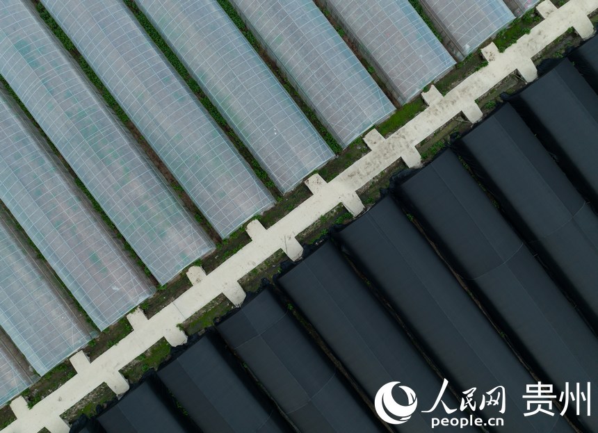 ������Ǿ�����Nֲ���ء�����W(w��ng) Ϳ���z