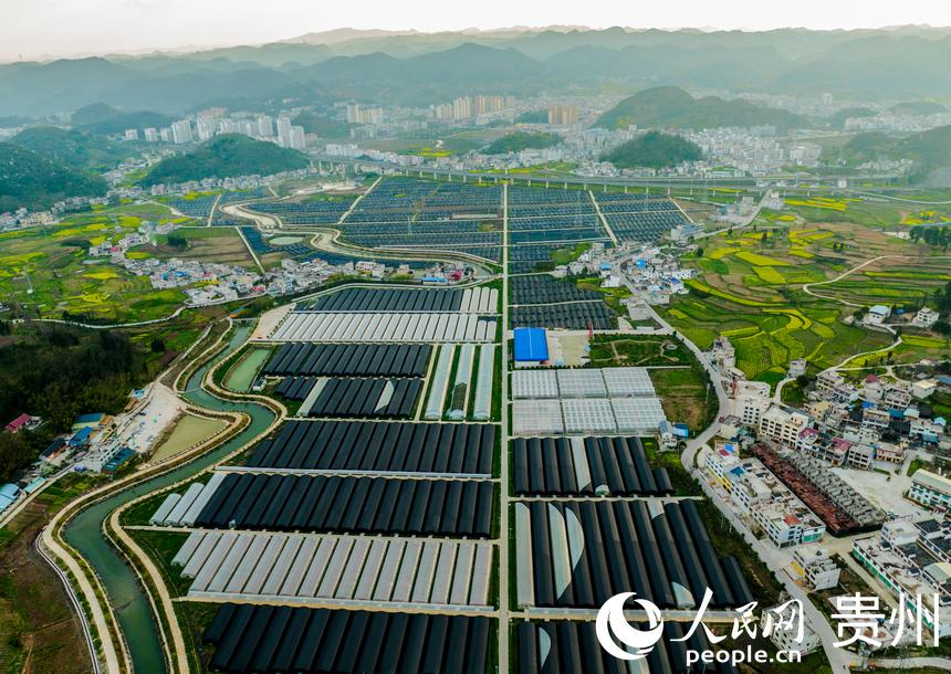 ������Ǿ�����Nֲ���ء�����W ���z