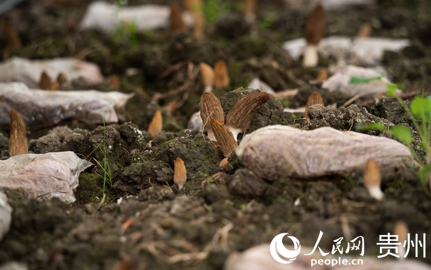 ���L�е���Ǿ�������W Ϳ���z