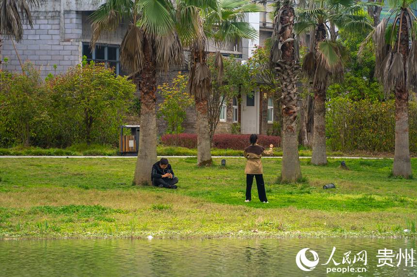 ��߅Ⱥ����������ˮ���B���@�����档����W Ϳ���z