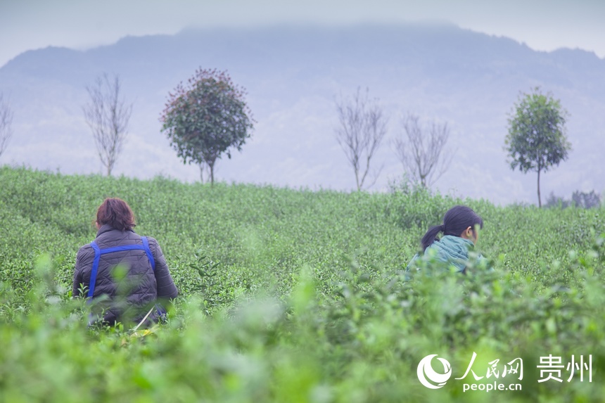 ���r�ɲ�æ������W �����ܔz