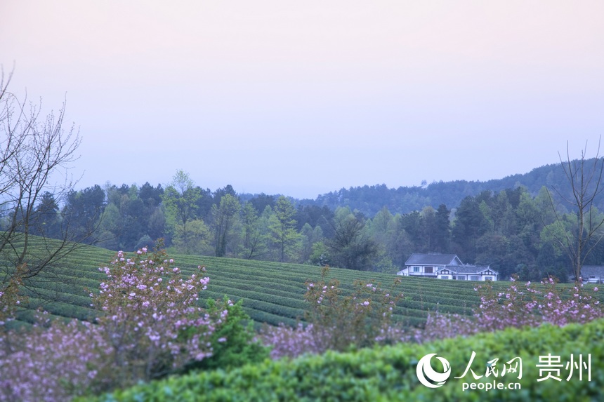 �F����̶�躣������W(w��ng) �����ܔz