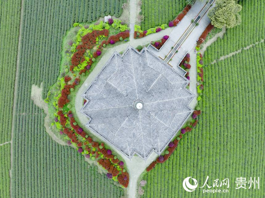 �F����̶�躣������W �����ܔz