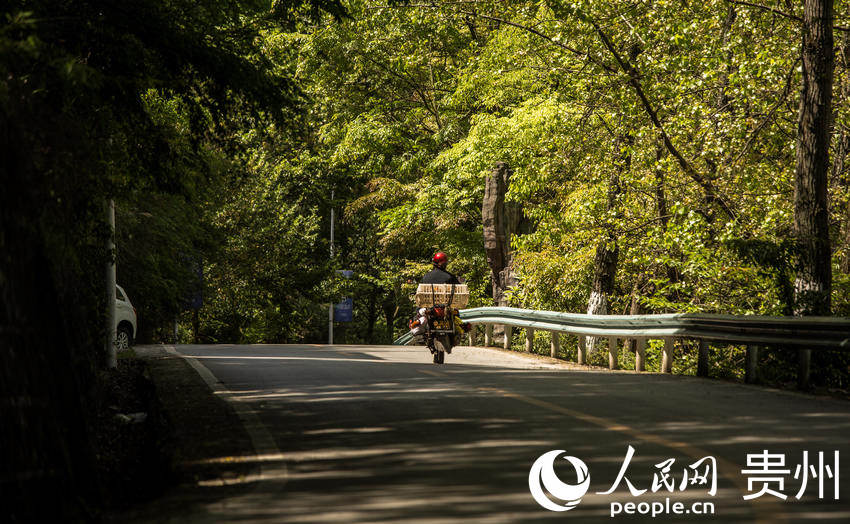 ��ľ�[�����G�ⰻȻ��ʮ�ﮋ�ȡ�����W ���z