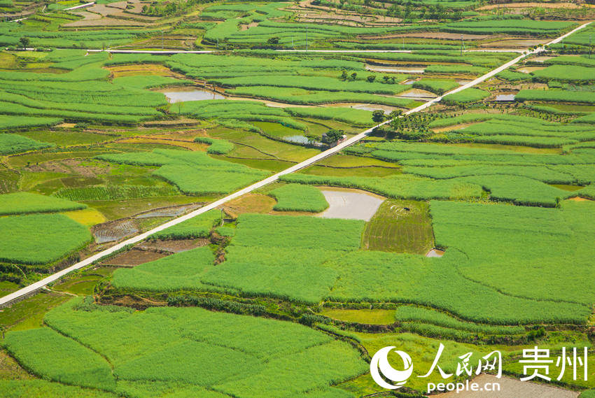 ʮ�ﮋ�Ⱦ�ɫ�q����Ȼ���{ɫ�P������W ���z