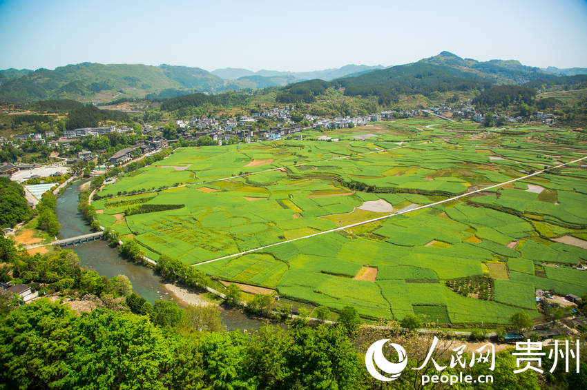 �_(k��i)�(y��ng)ʮ�ﮋ(hu��)����10����(g��)��Ȼ��կ�M�ɡ�����W(w��ng) �(y��ng)��z