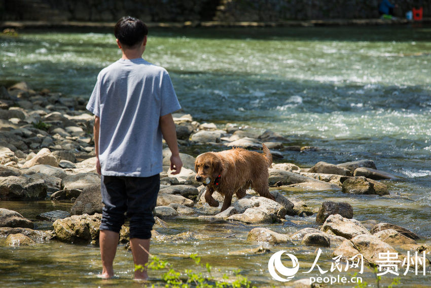 ʮ�ﮋ�������ό������p��������������W(w��ng) ���z