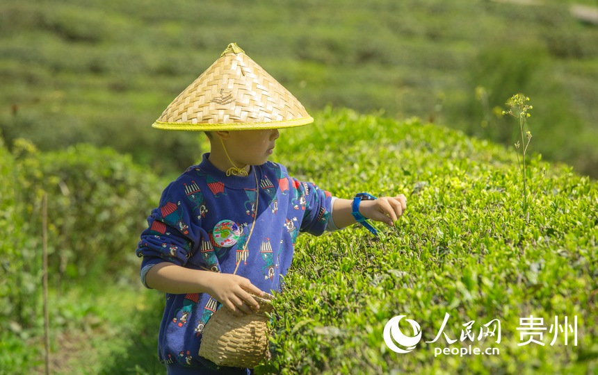 С�����ڲ�@���w��ժ�r��������W ���z