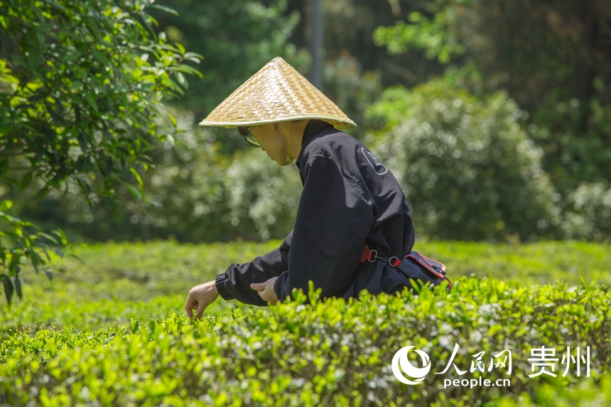 �ο��ڲ躣���w��ժ��Ȥ������W ���z