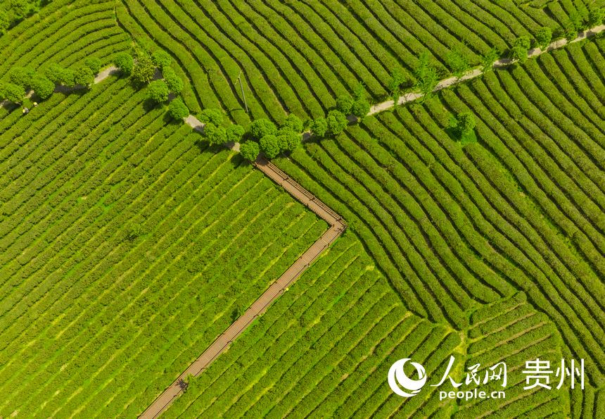 ��ɽ�躣һ��������W(w��ng) ���z