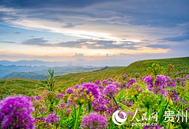 �������ϻ��� ����һ�����������F�ݾ²�ƺ���^(q��)�С��Ї�(gu��)Ұ���²ˡ������Ǿ�֮�l(xi��ng)���ķQ̖(h��o)��