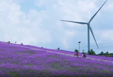 ����һ�� ��픻������L(f��ng)�����(l��i)��픻���λ���F�(y��ng)�л�Ϫ�^(q��)�����l(xi��ng)�����F�(y��ng)�Ѕ^(q��)���l(f��)ֻ��һ��(g��)С�r(sh��)���ܵ��_(d��)���^��(du��)�������ĩ���e���յĺ�ȥ̎��