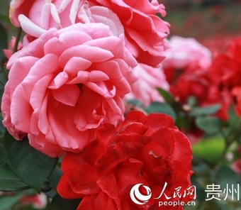 ��һ�򿨺�ȥ̎ �F���r(n��ng)���@