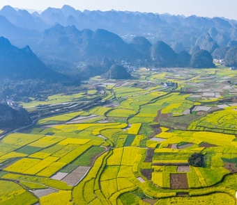 �w�S�f(w��n)���Ͳ˻��� ��׽��(l��i)�Դ���Ě�Ϣ