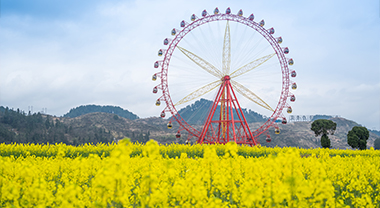 ȥ�Ͳ˻����� �c�������ۼs��