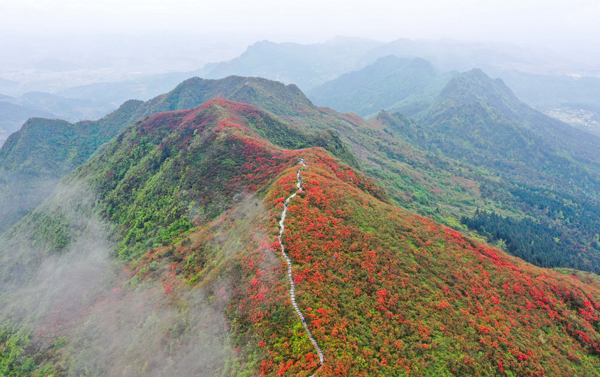 �F�ݵ�կ�����N�������箋