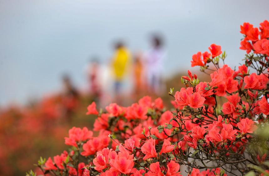 4��23�����ο����F��ʡǭ�|�����嶱�������ݵ�կ�h��Ȫɽ�^�p���N���� 