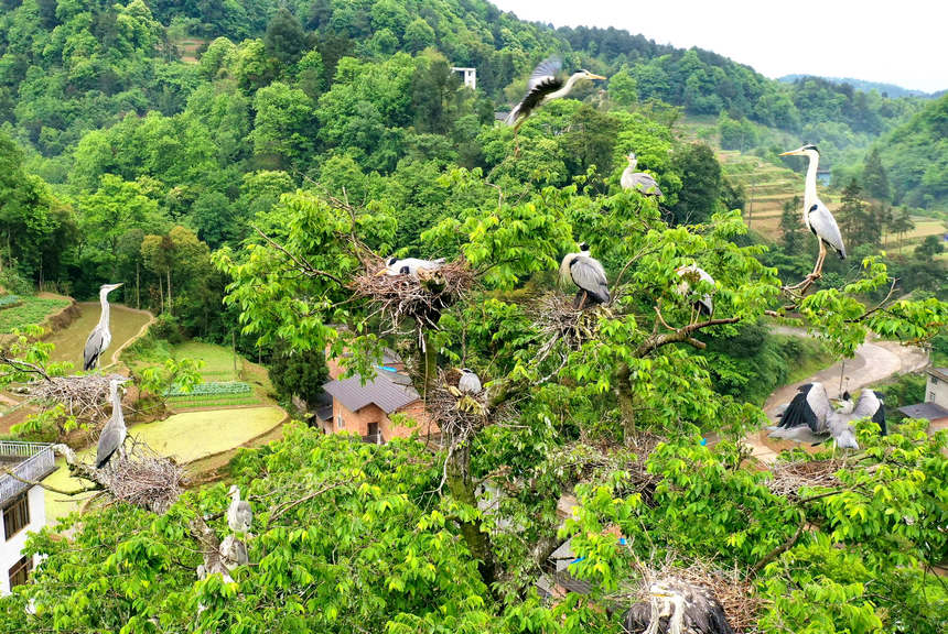 �n�����I��կ��