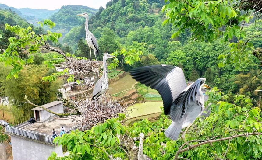 �n����Ϣ���֦�^��