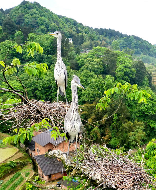 ���߰��Ŀ��а������݆T����