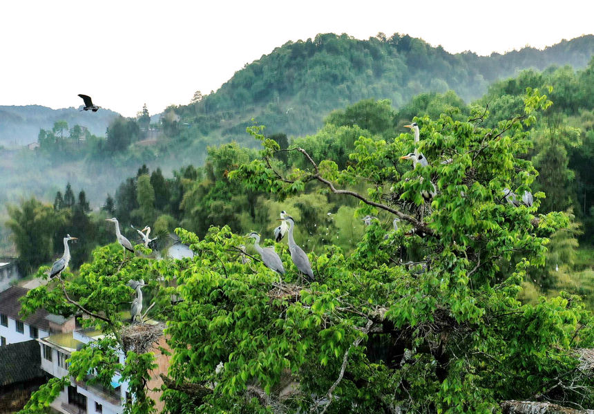 �F����ˮ���r��æ���� �n���R��g