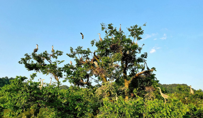 �h(yu��n)�^�n����