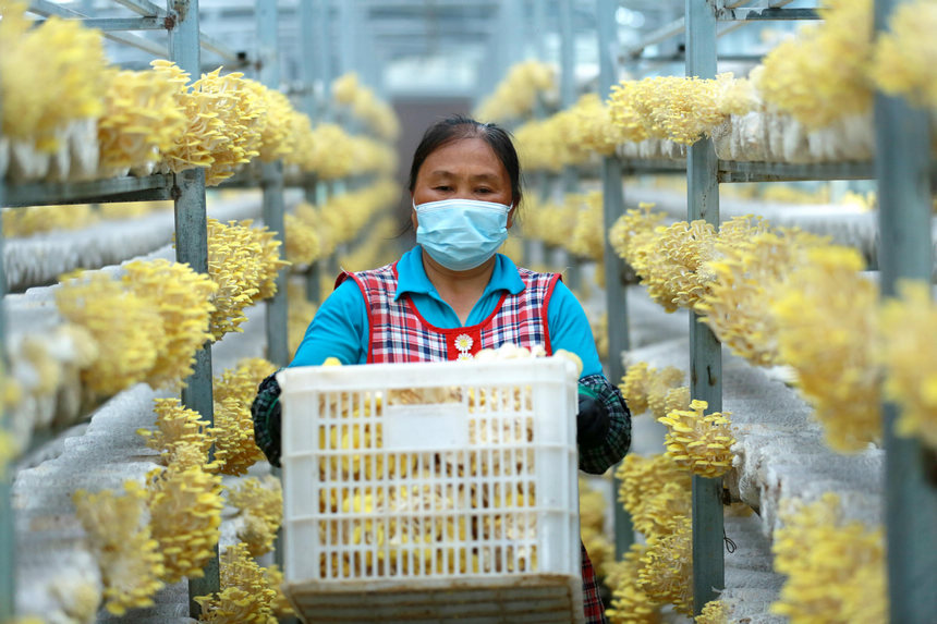 һ��M�M�����S����