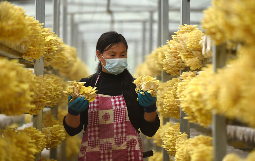 �F���_�飺19�f�����S��ϲ�@�S��