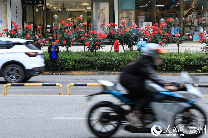 ���x���g����`��������W(w��ng) ��m�Ɣz