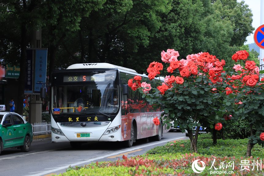 ���x���`�ŵĻ��䡣����W ��m�Ɣz