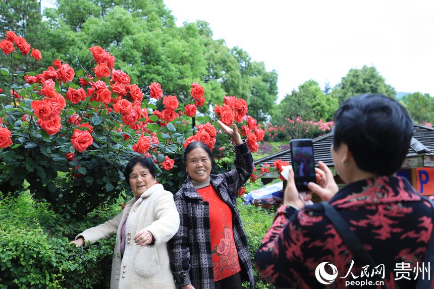 �����ھG�����c�����Ӱ������W(w��ng) ��m�Ɣz