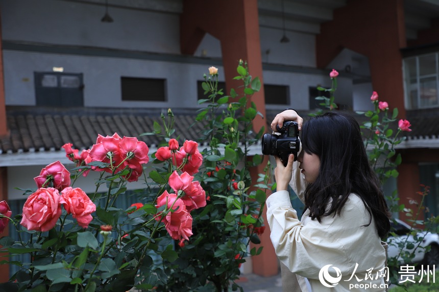 �zӰ�ۺ����Ĕz���䡣����W ��m�Ɣz