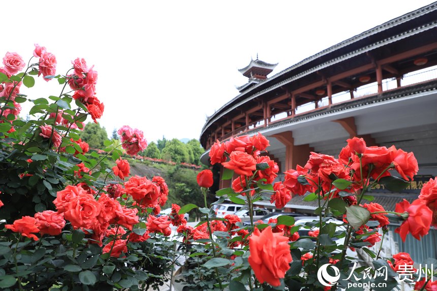 ���彨���c���������(y��ng)������W(w��ng) ��m�Ɣz