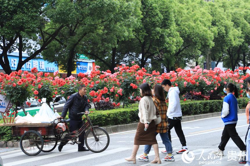 �����ڻ���`�ŵ�·�g��������W ��m�Ɣz