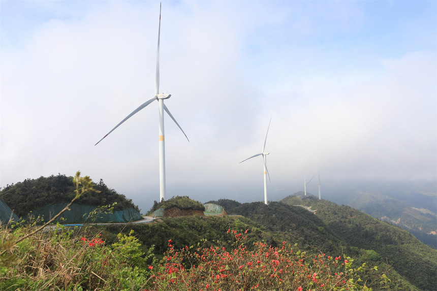 �������L���l늈�������ϔz