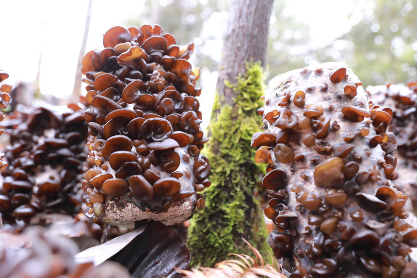 ���º�ľ�����ǲ��B�z