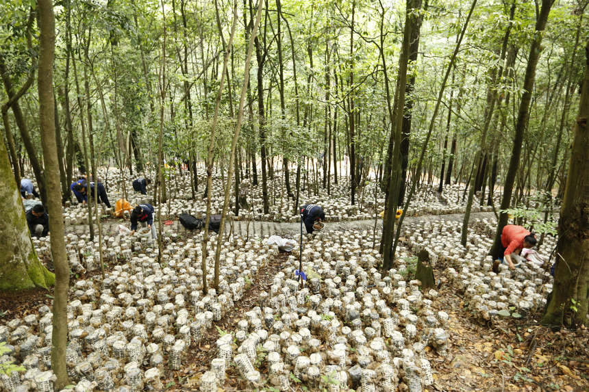 ���º�ľ���a�I������ϔz