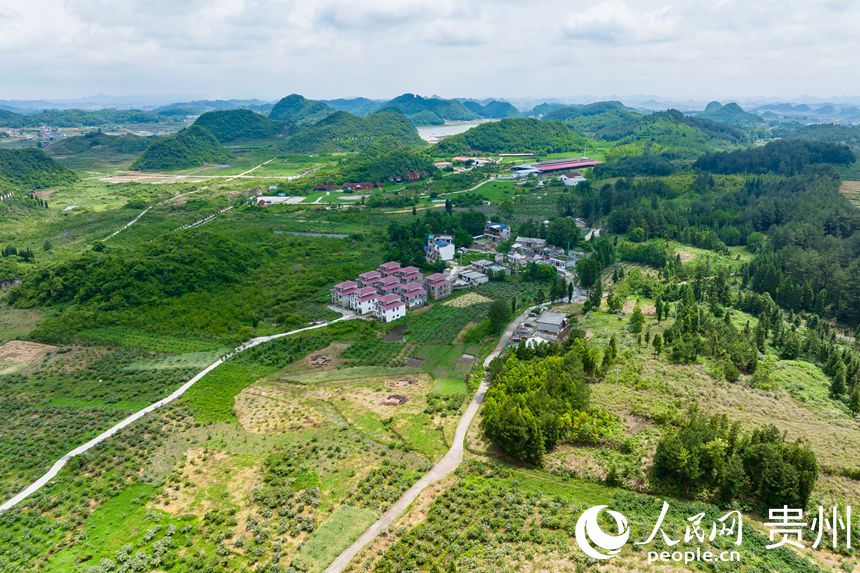 �c(di��n)�Y�ڽ����Nֲ�����е��񷿡�����W(w��ng) Ϳ���z