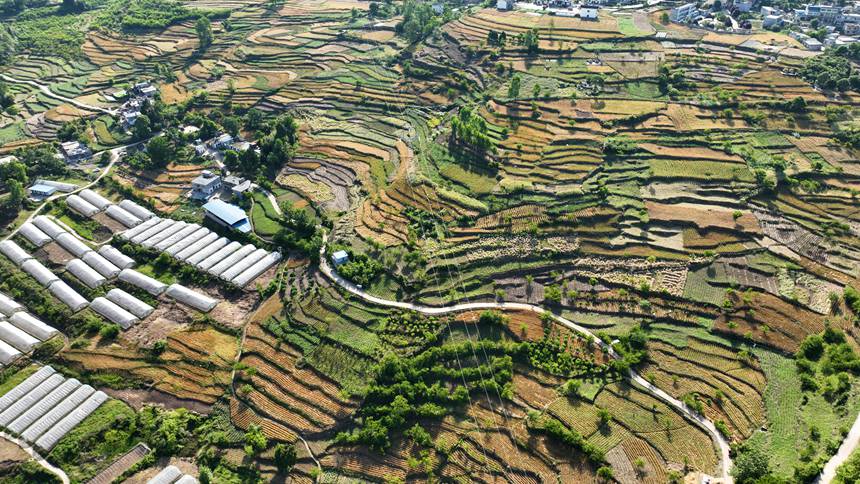 �F��ʡ�󷽿h�Lʯ悗�����^������BƬ��� ��Ӗ�F�z