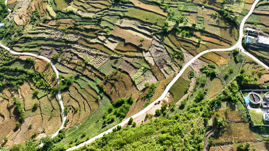 �F��ʡ�󷽿h�Lʯ悗�����^������BƬ��� ��Ӗ�F�z