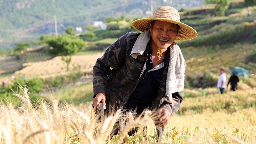 �F��ʡ�󷽿h�Lʯ悗�����^�������ո�����С�����������z