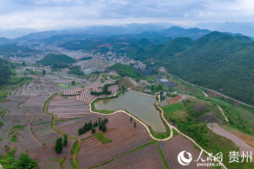 ����ɽ���еİ���G悲��״��r�����W Ϳ���z