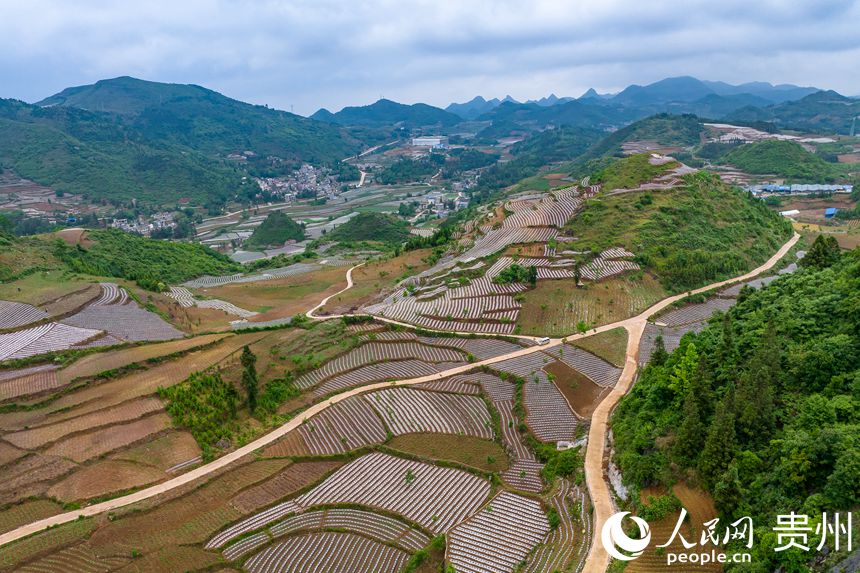 ����ɽ���еİ���G悲��״��r�����W Ϳ���z