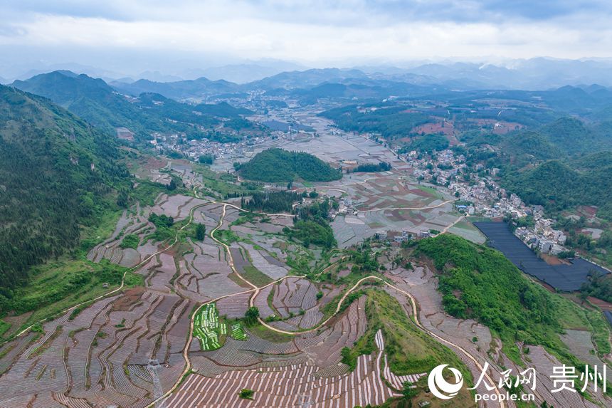 ����ɽ���еİ���G�(zh��n)���״��r(n��ng)�����W(w��ng) Ϳ���z